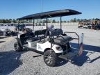 2021 GOLF CART for sale at Copart FL - TAMPA SOUTH