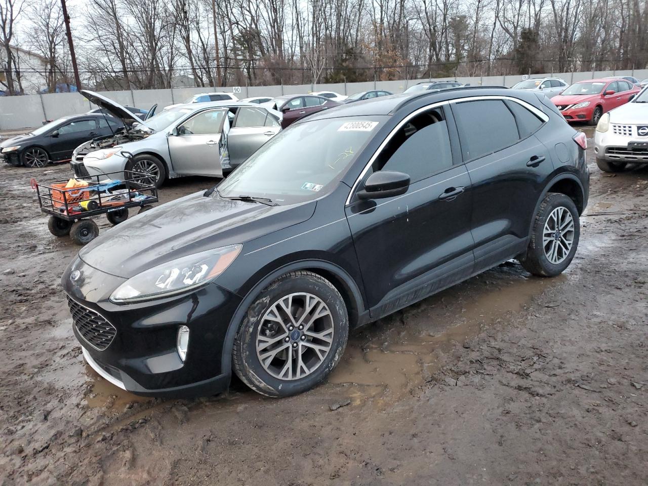 2020 Ford Escape - Image 1