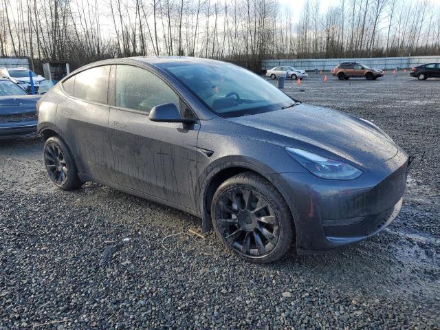  TESLA MODEL Y 2024 Gray