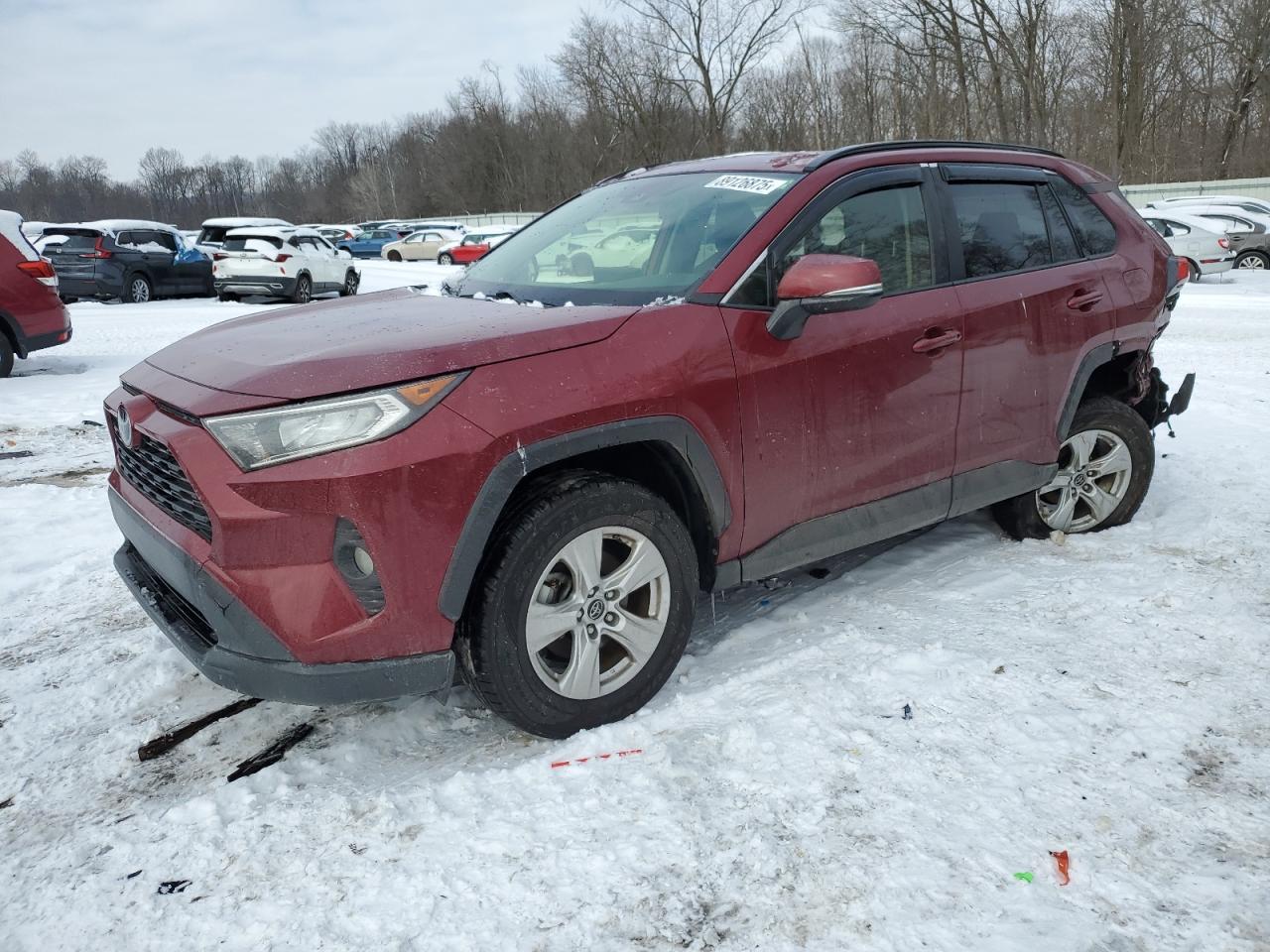 2019 Toyota Rav4 Xle for Sale in Ellwood City, PA - Rear End