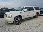 2008 Cadillac Escalade Esv за продажба в Taylor, TX - Normal Wear