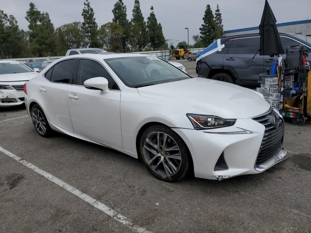 2019 Lexus IS - Image 4