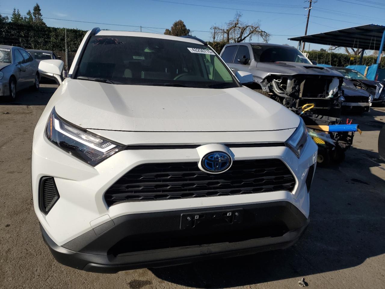 JTMRWRFVXRD267293 TOYOTA RAV4 2024