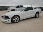 2009 Ford Mustang Gt للبيع في Andrews، TX - Front End