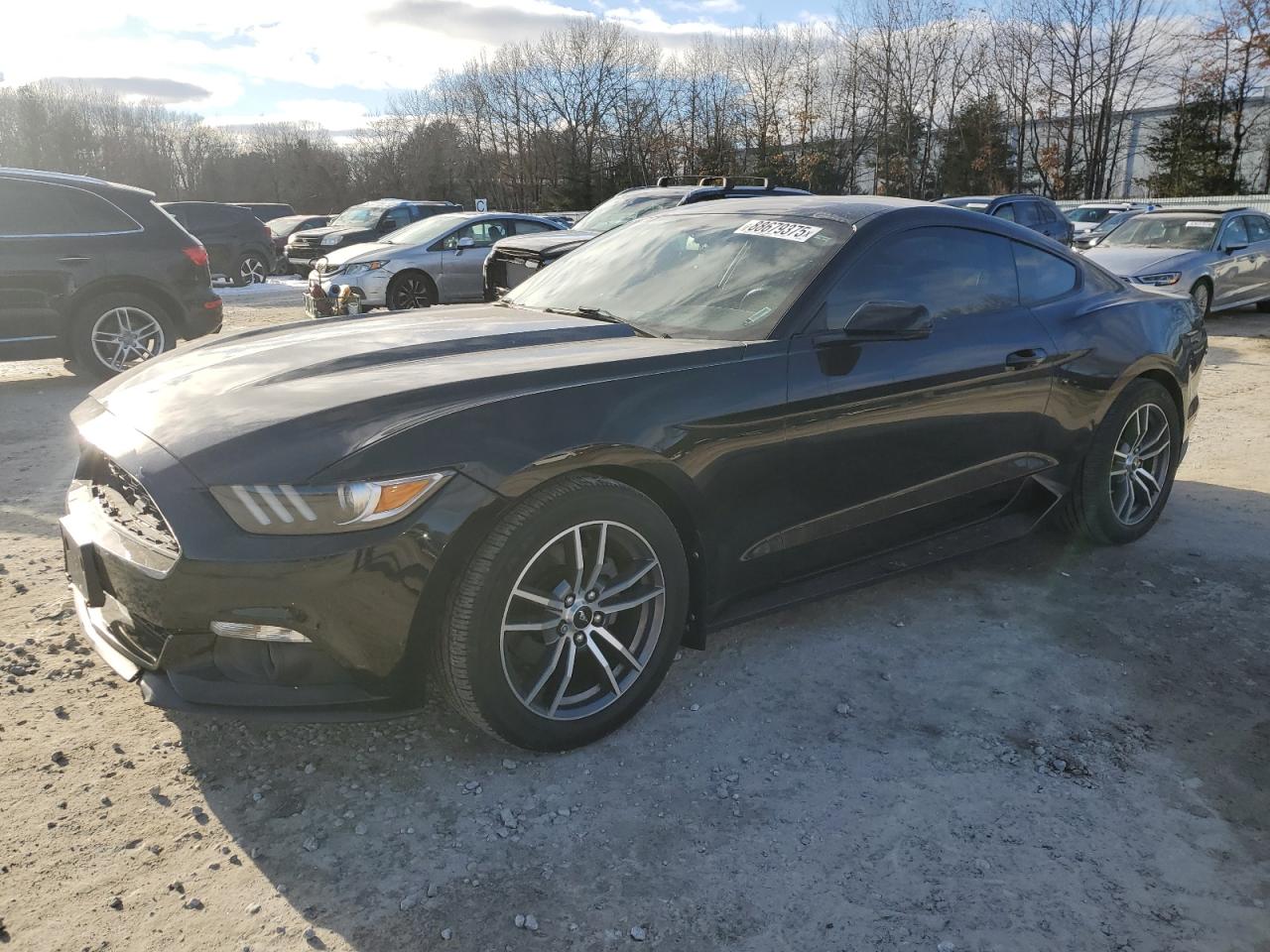 1FA6P8TH5H5229915 FORD ALL Models 2017