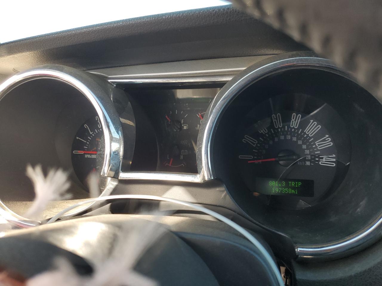 2006 Ford Mustang Gt VIN: 1ZVHT82HX65167857 Lot: 89185985