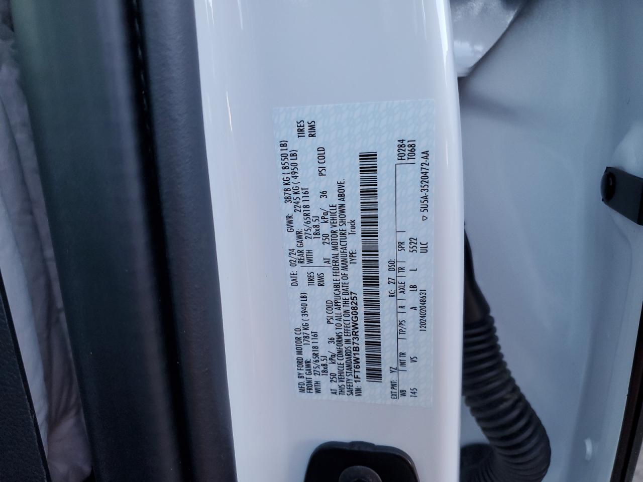 1FT6W1B73RWG08257 FORD F150 LIGHT 2024