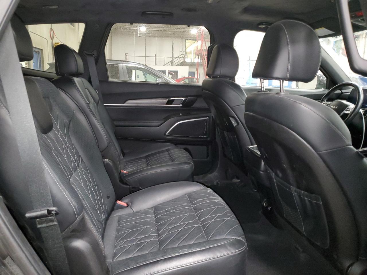 2023 Kia Telluride Sx VIN: 5XYP5DGC8PG397050 Lot: 87598145