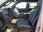 2024 Ram 1500 Big Horn/Lone Star იყიდება Andrews-ში, TX - Front End