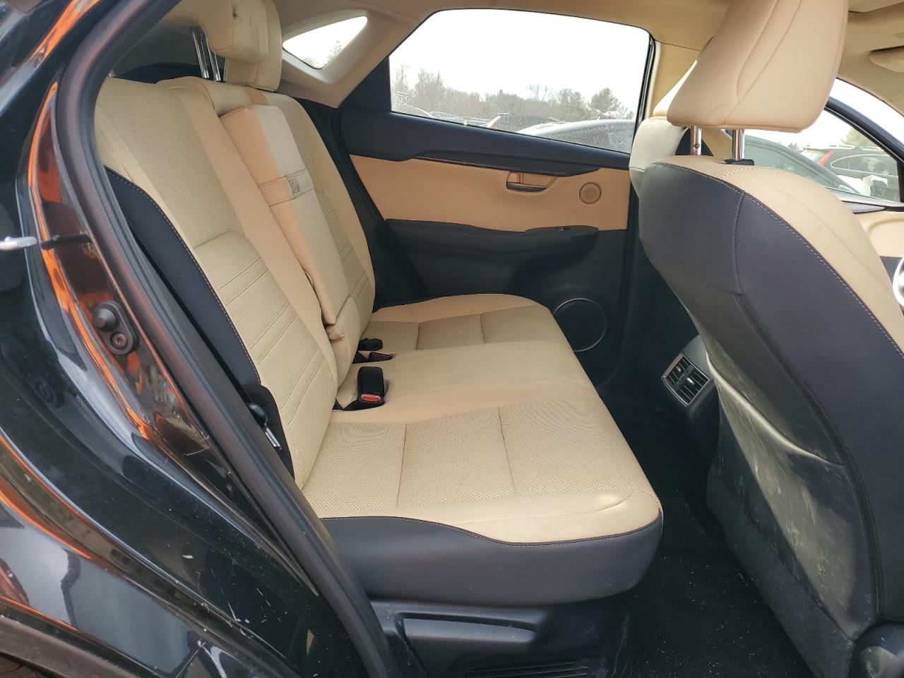 2021 Lexus NX - Image 11