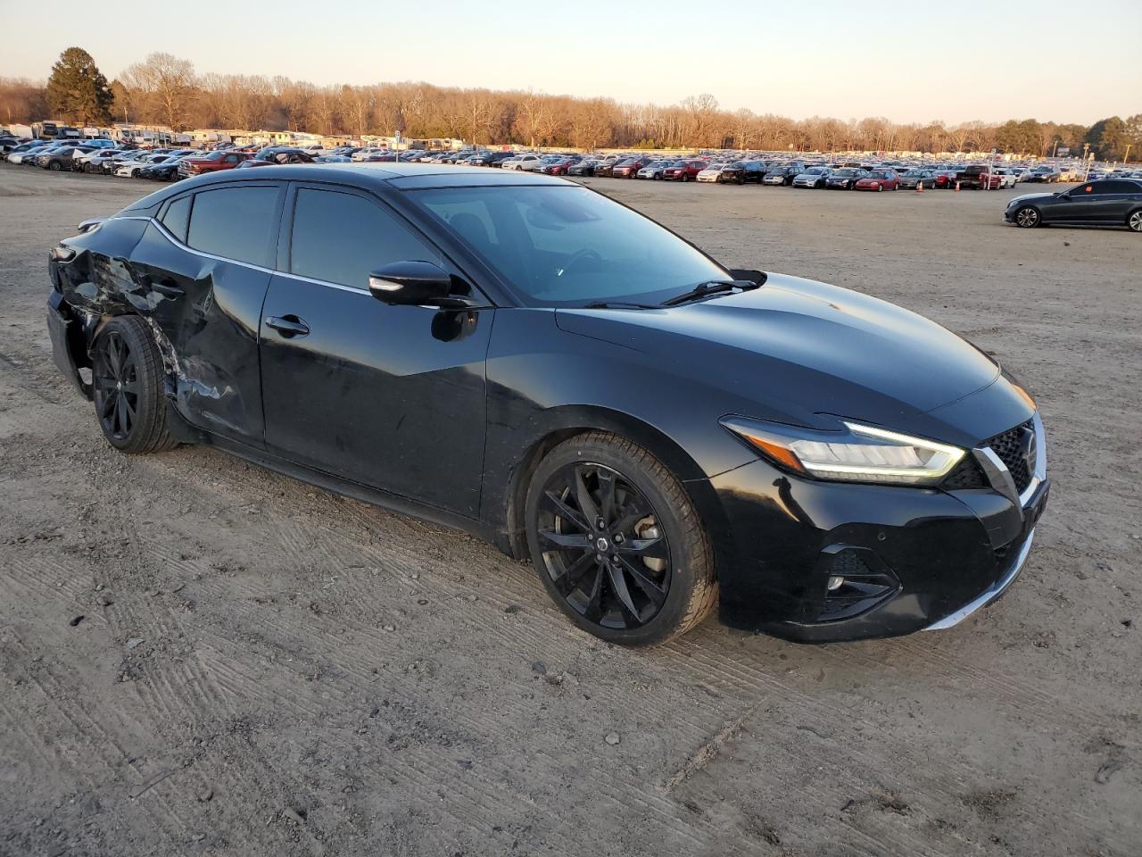 1N4AA6EV3LC377181 NISSAN MAXIMA 2020