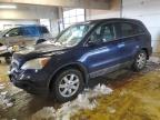 2008 Honda Cr-V Exl for Sale in Indianapolis, IN - Front End