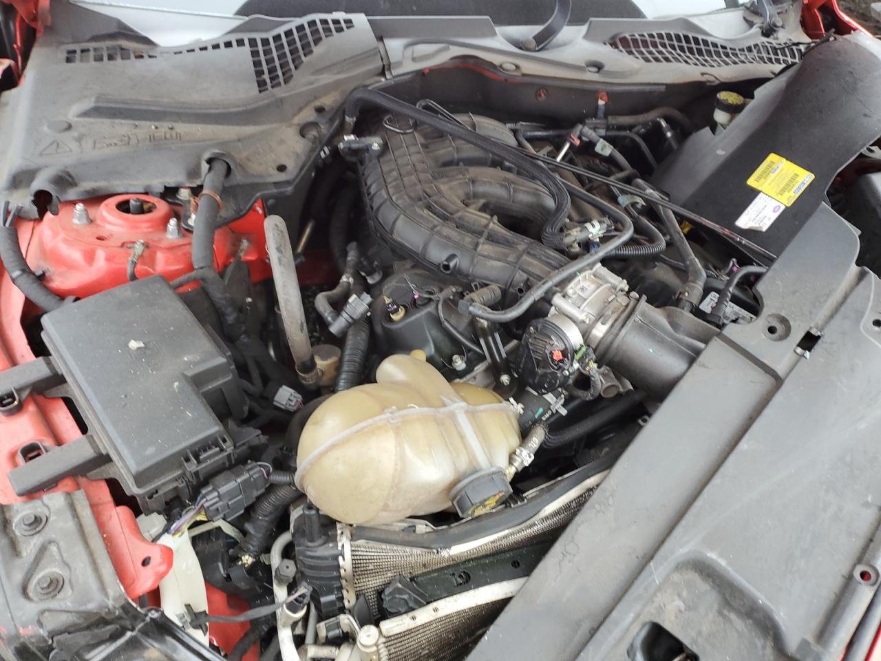 1FA6P8AM1G5214889 FORD ALL Models 2016