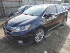 2010 Lexus Hs 250H იყიდება Los Angeles-ში, CA - Minor Dent/Scratches