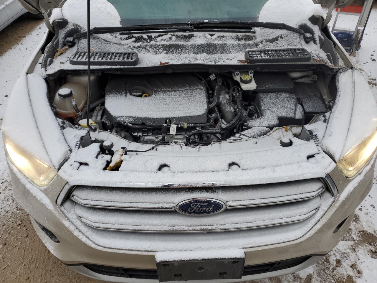 VIN 1FMCU9JD5HUB23462 2017 FORD ESCAPE no.11