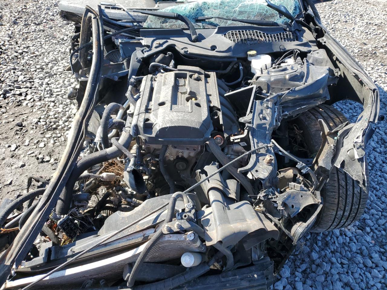 1FA6P8TH6K5184779 FORD ALL Models 2019