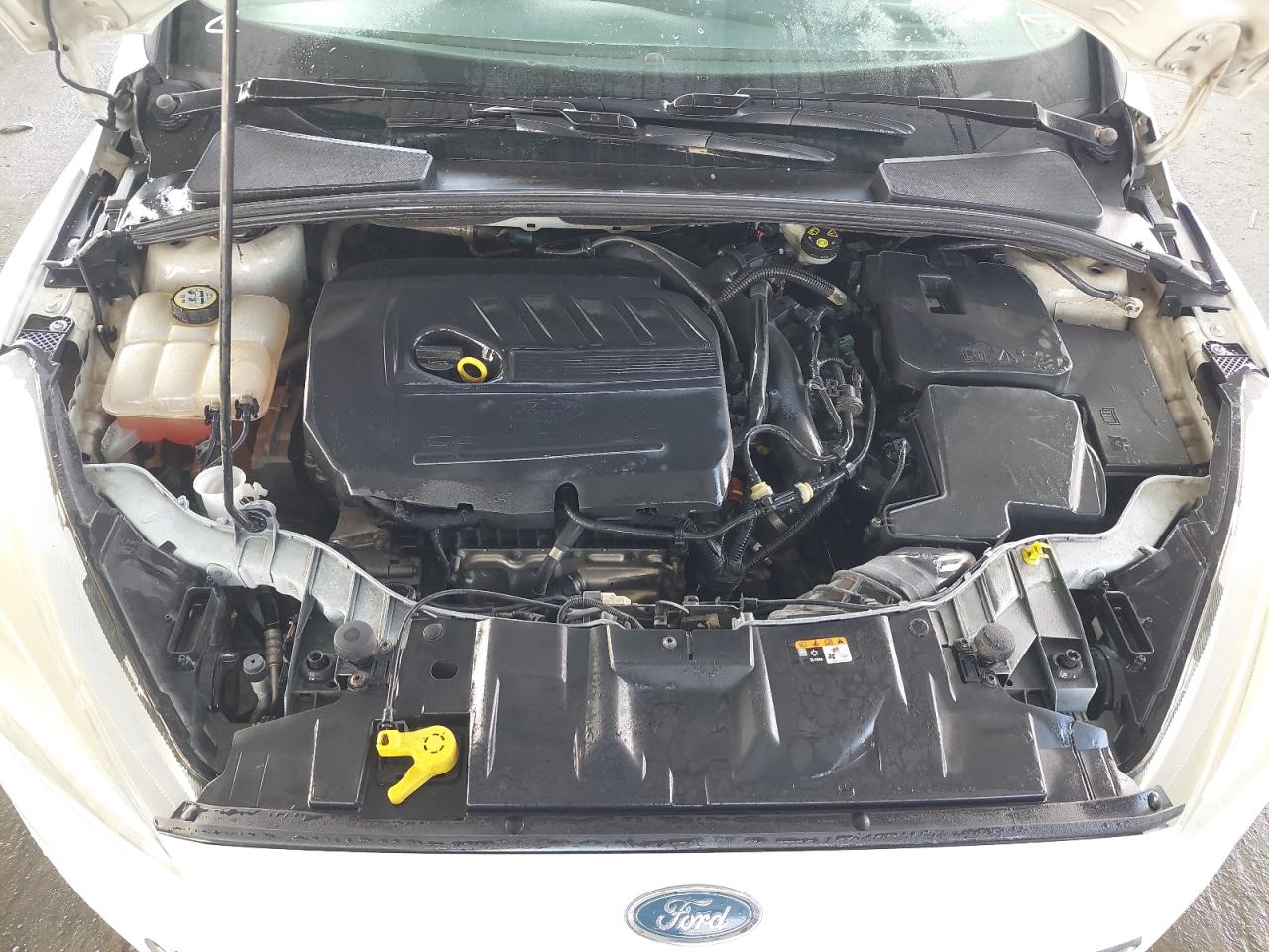 WF0FCDMB0HL539060 - 2017 Ford Focus - #43305755