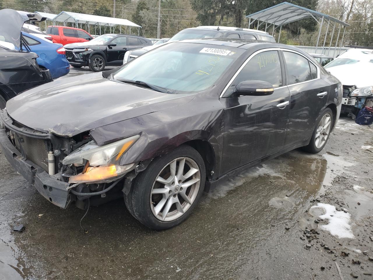2010 Nissan Maxima - Image 1
