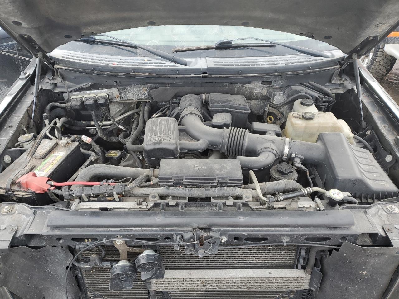 2010 Ford F-150 - Image 11