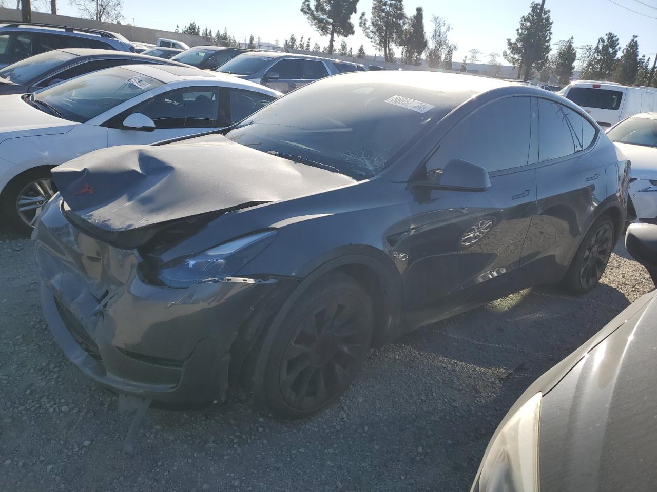 2023 Tesla Model Y на продаже в Rancho Cucamonga, CA - Front End