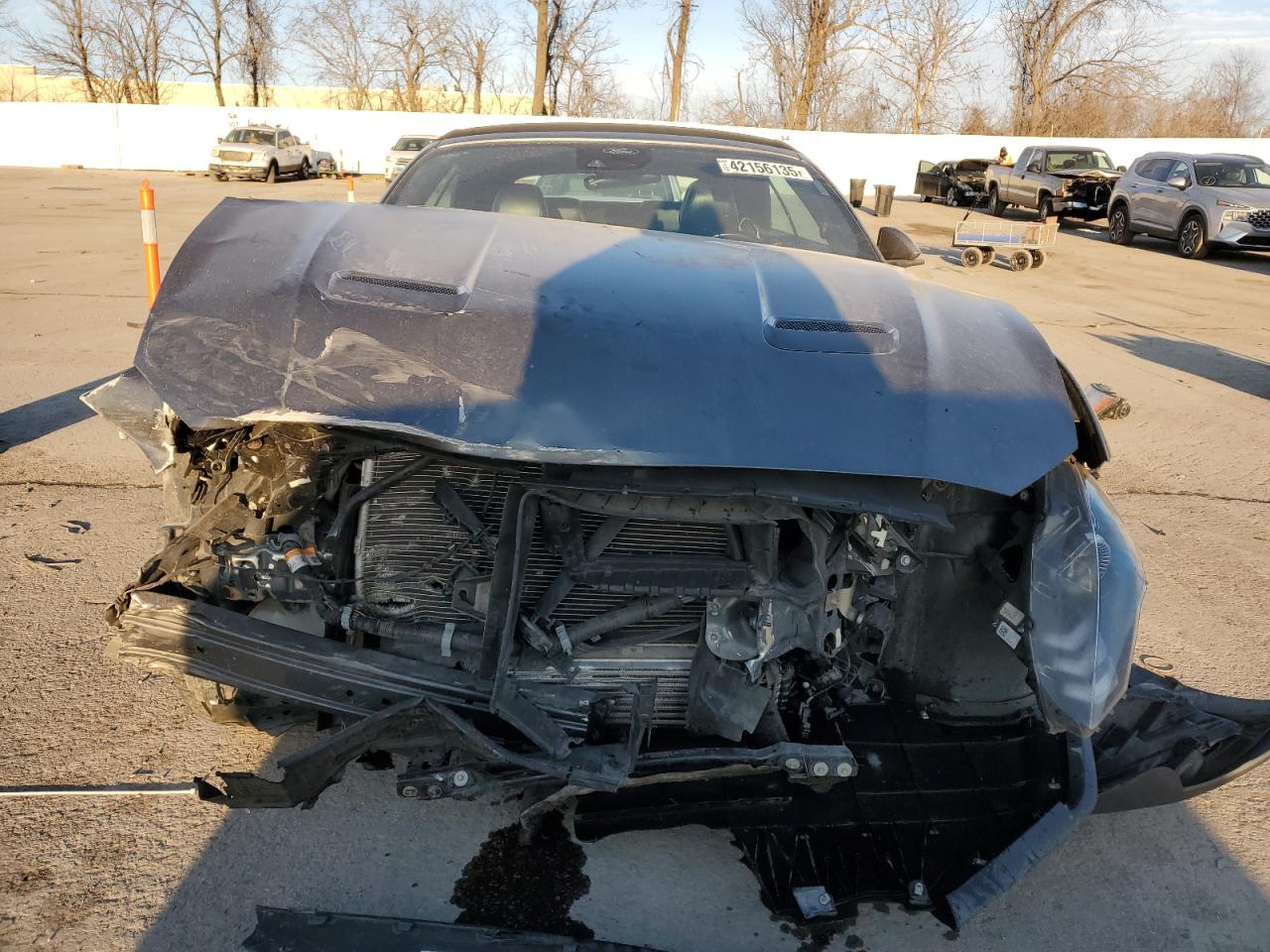1FATP8UH4M5124777 FORD ALL Models 2021