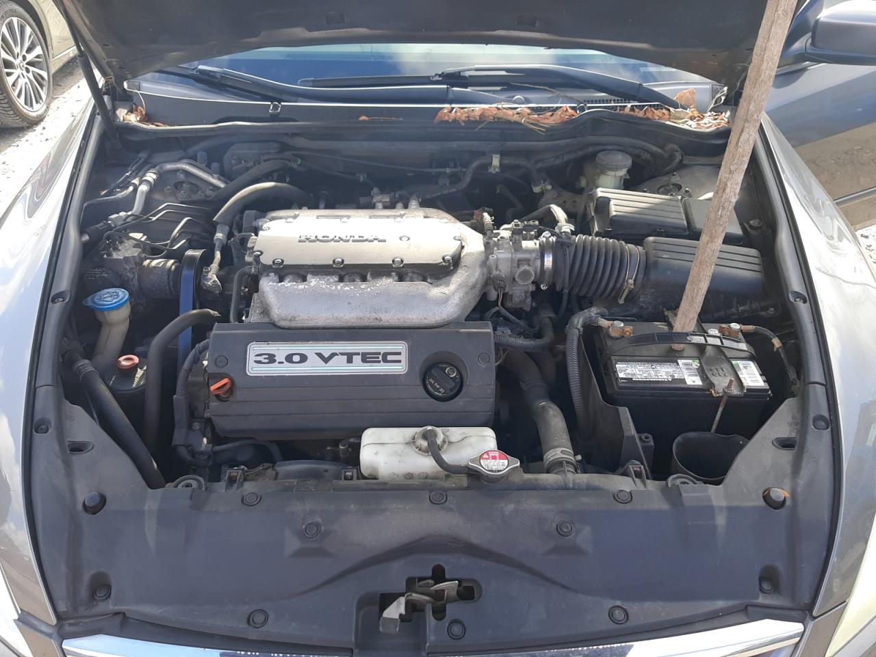 2006 Honda Accord Ex VIN: 1HGCM66886A038906 Lot: 87112174