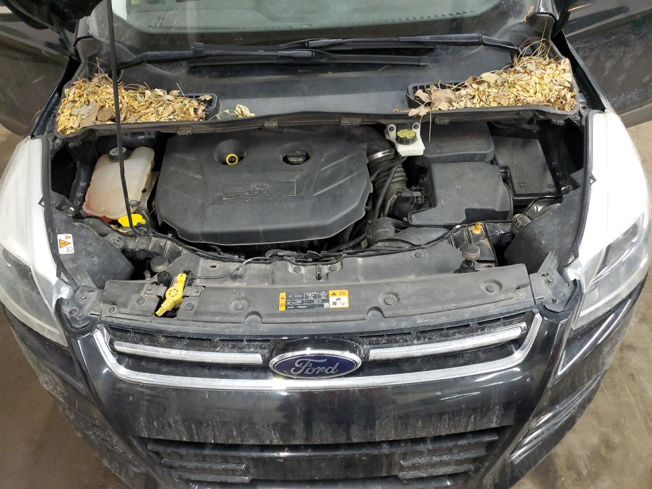 2013 Ford Escape - Image 13