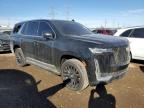 2023 Cadillac Escalade Premium Luxury იყიდება Elgin-ში, IL - Vandalism