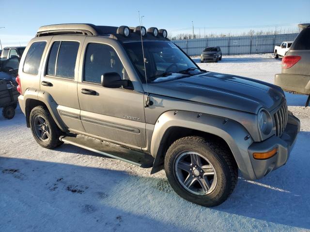 2004 JEEP LIBERTY RENEGADE