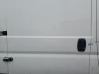 2023 RAM PROMASTER 2500 2500 HIGH à vendre chez Copart IN - DYER