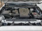 2023 Toyota Tacoma Double Cab للبيع في Colorado Springs، CO - Front End