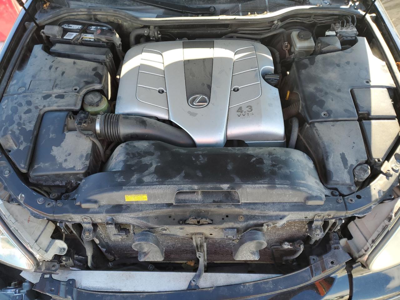 2004 Lexus LS - Image 11