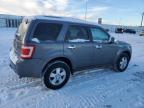 2011 Ford Escape Xlt იყიდება Rapid City-ში, SD - Hail