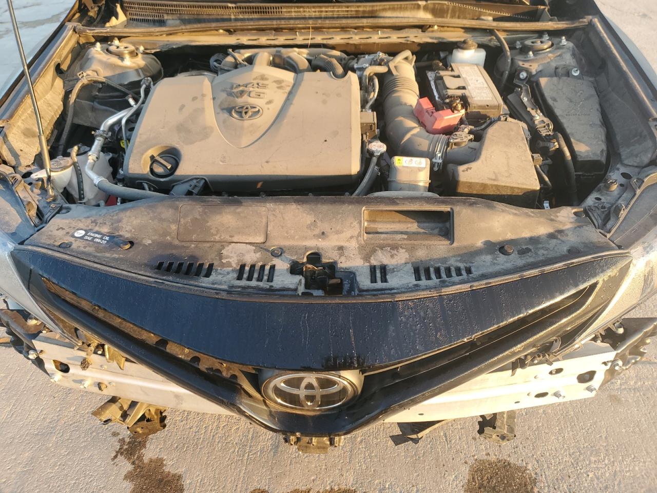 4T1KZ1AK4NU068446 TOYOTA CAMRY 2022