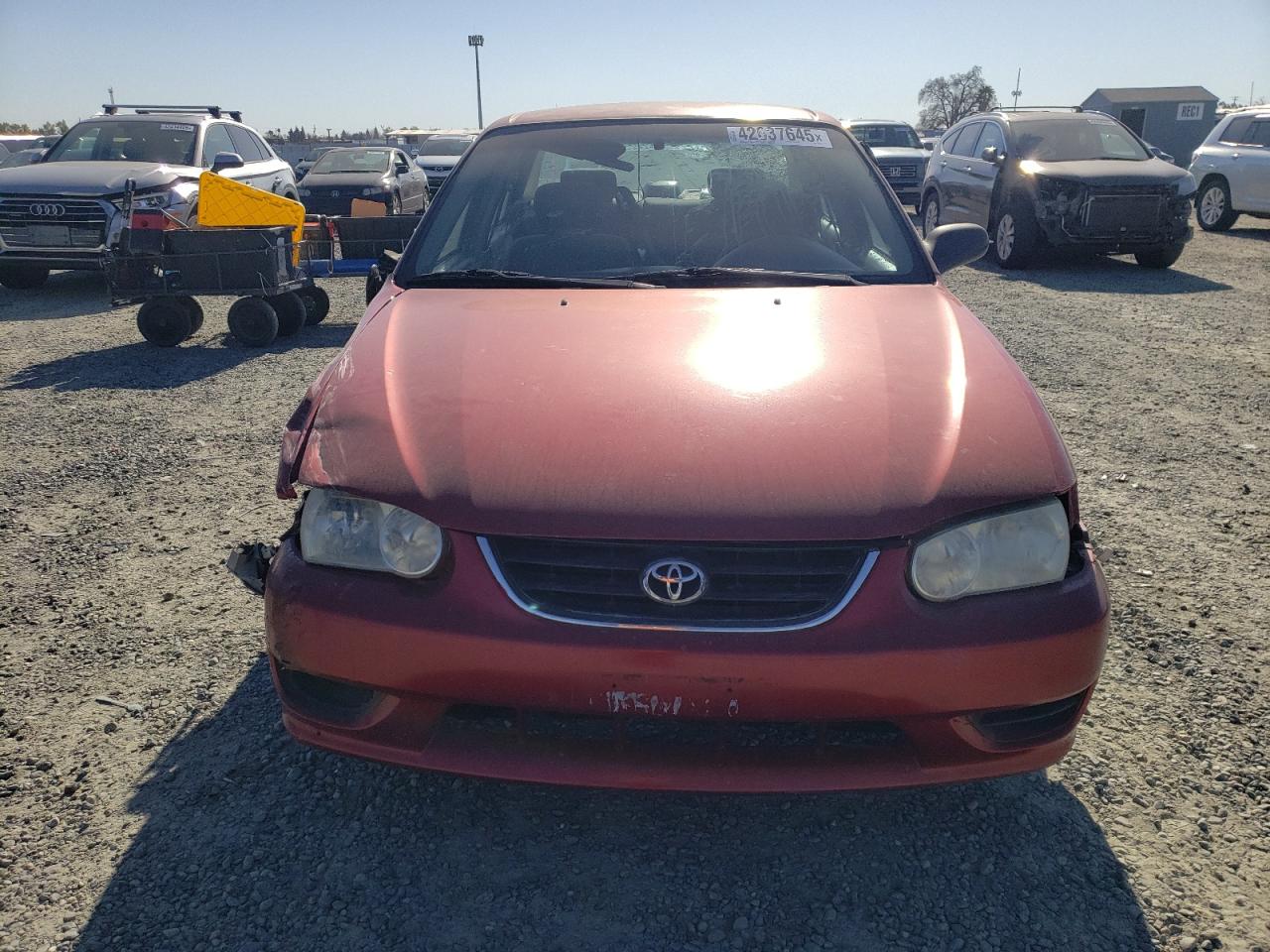 2002 Toyota Corolla - Image 5