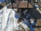2024 Carry-On                       Trailer for Sale in Hurricane, WV - Minor Dent/Scratches