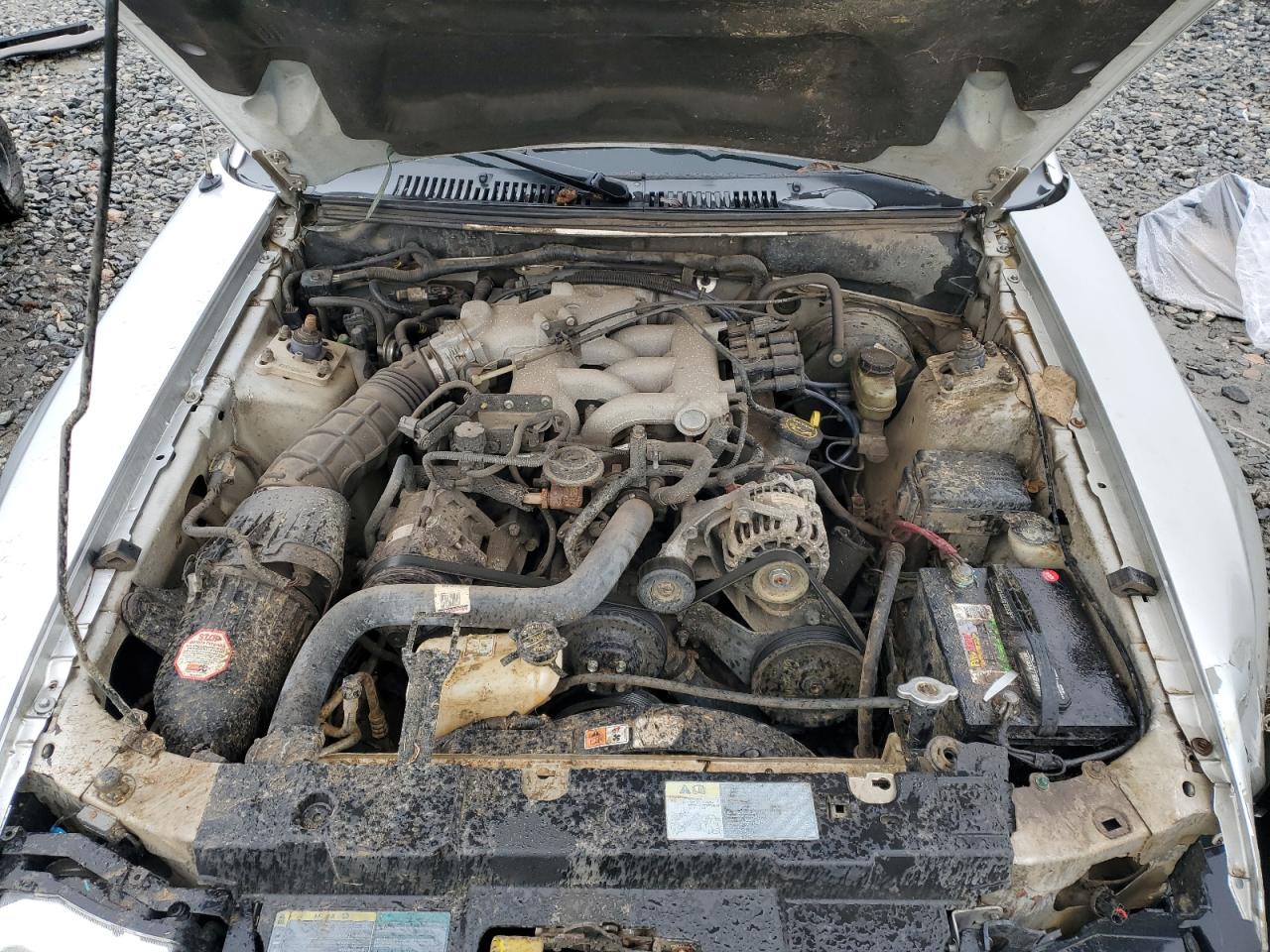 2003 Ford Mustang - Image 11