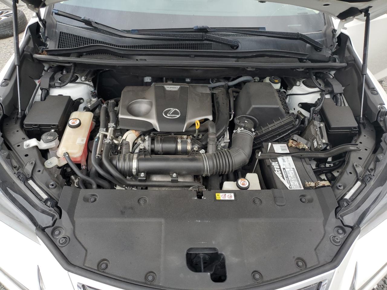 2019 Lexus Nx 300 Base VIN: JTJBARBZ0K2211869 Lot: 88126205