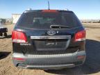 2013 Kia Sorento Lx продається в Brighton, CO - Normal Wear