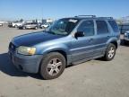 2005 Ford Escape Xlt en Venta en Bakersfield, CA - Front End