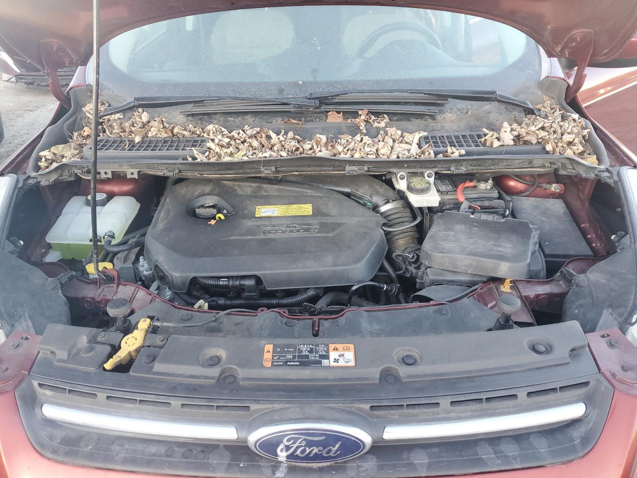 2014 Ford Escape - Image 11
