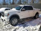 2014 Ford F150 Supercrew de vânzare în Waldorf, MD - Rear End