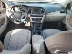 Lebanon, TN에서 판매 중인 2016 Hyundai Sonata Hybrid - Front End