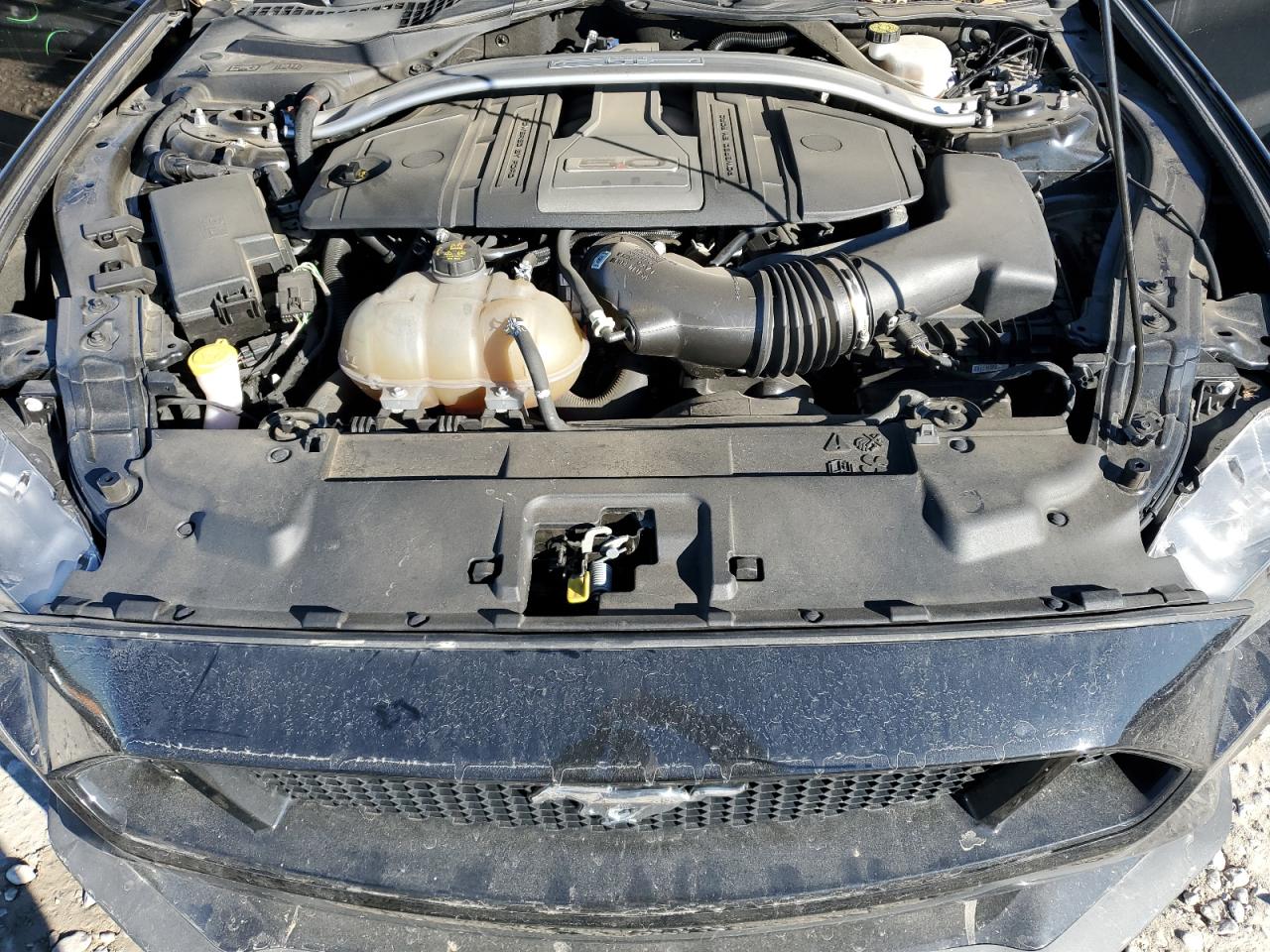 1FA6P8CF4L5102788 FORD MUSTANG 2020