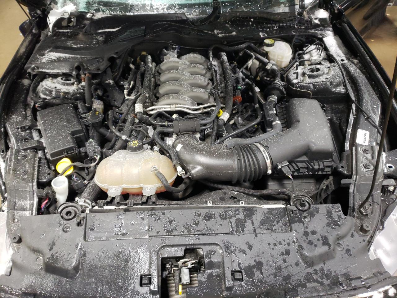 1FA6P8CF9K5135607 FORD MUSTANG 2019
