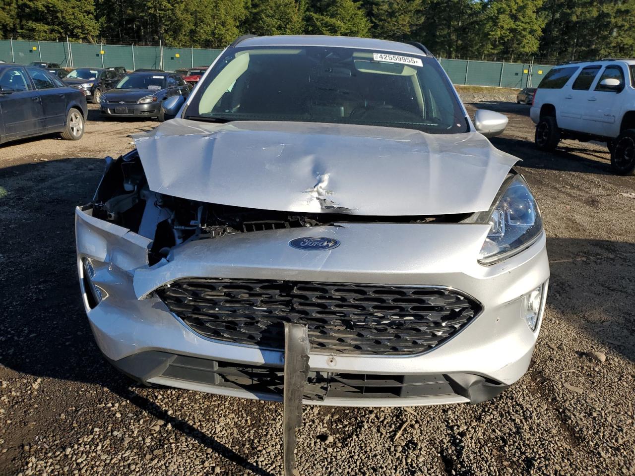 2020 Ford Escape - Image 5