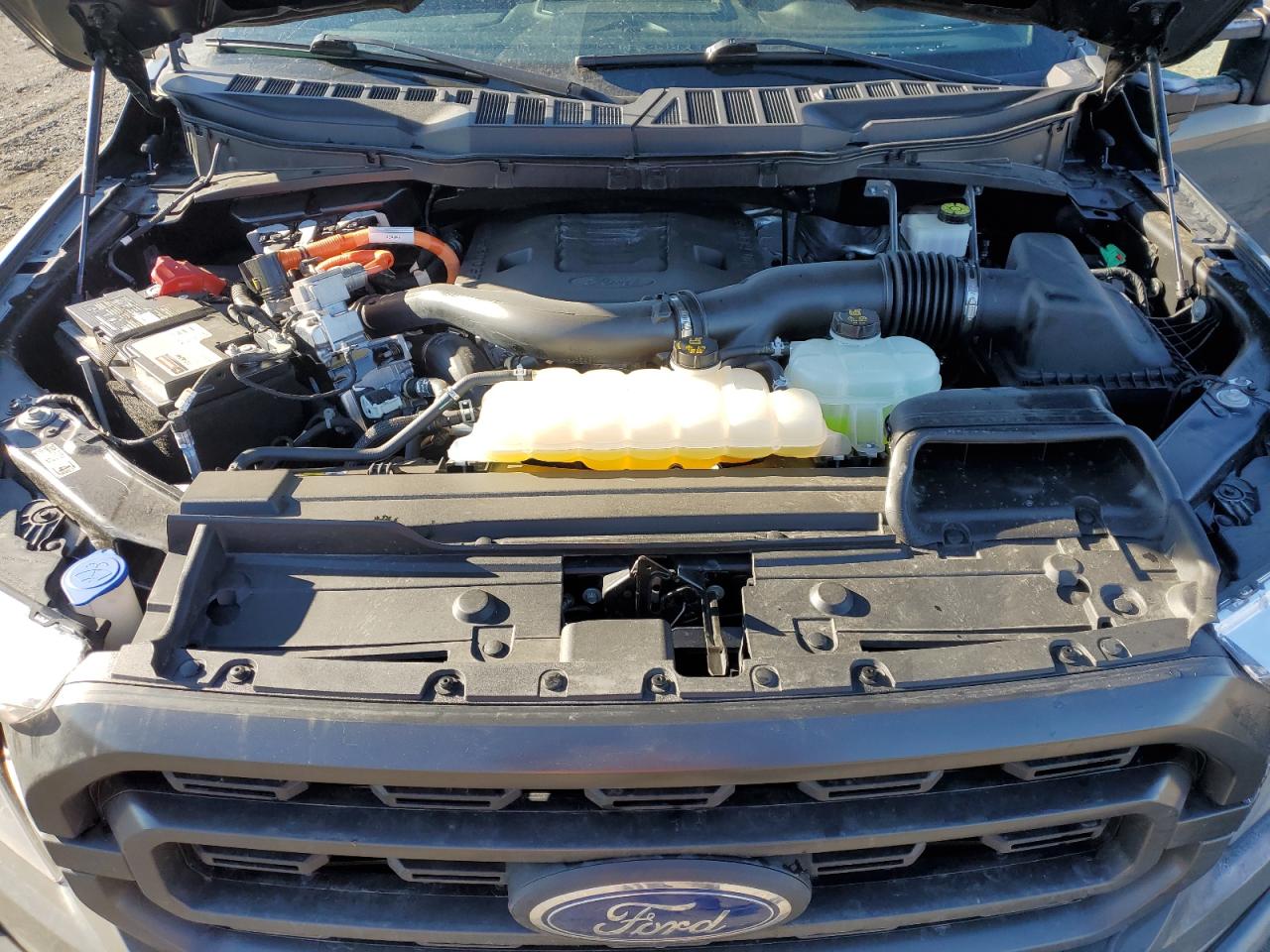 1FTFW1ED3MFB95055 FORD F-150 2021