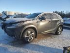 2020 LEXUS NX 300 LUXURY for sale at Copart ON - COOKSTOWN