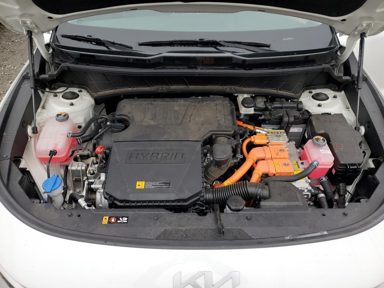 2024 Kia Niro - Image 12