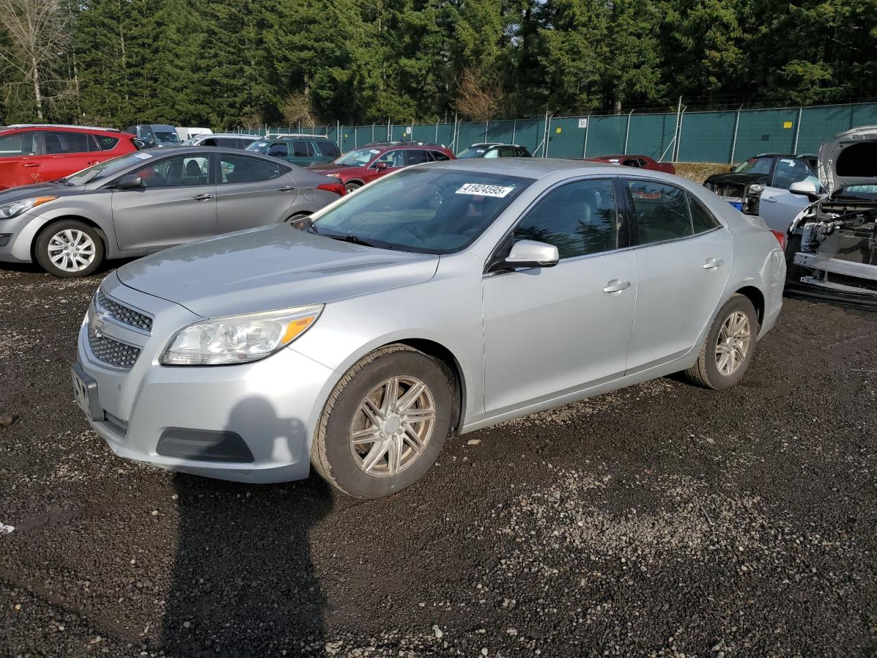 VIN 1G11C5SA4DF257950 2013 CHEVROLET MALIBU no.1